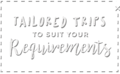 Tailored trips to suit your requirements